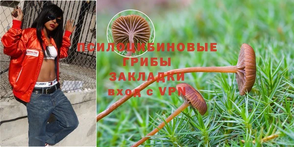 индика Майский
