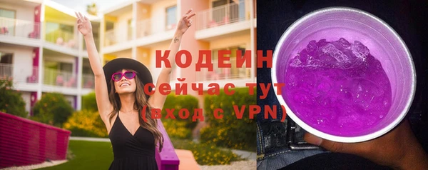 индика Майский