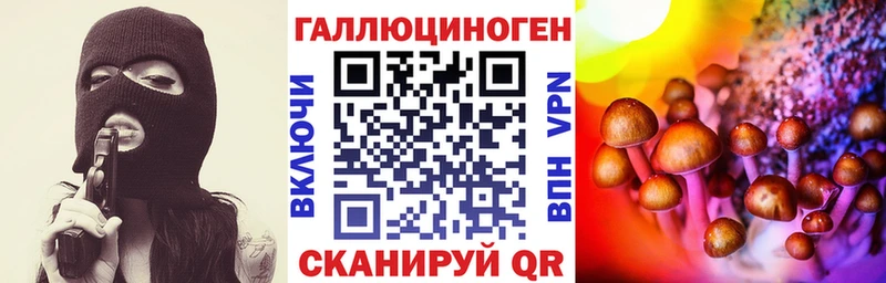 Псилоцибиновые грибы Cubensis  Нестеровская 